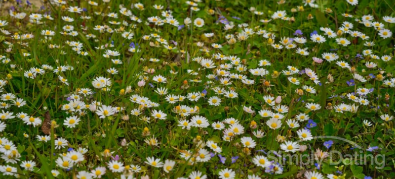 international dating