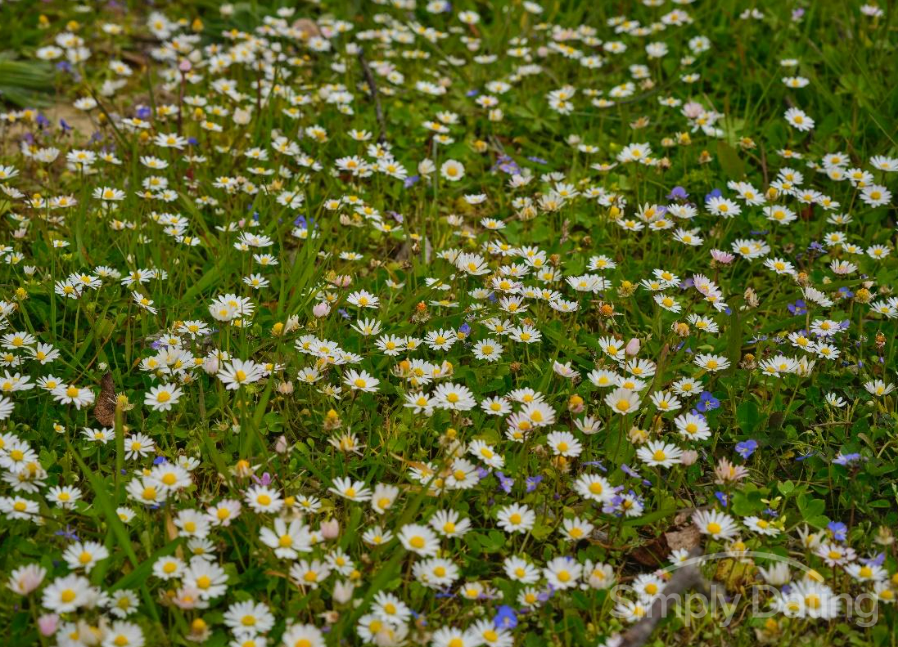 international dating