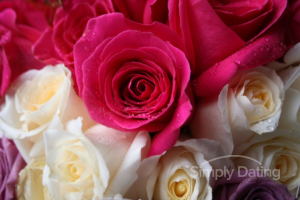 dating agency in Ukraine