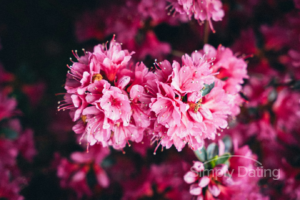 international dating