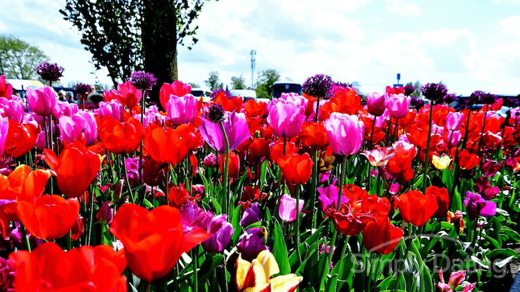 dating advice for me