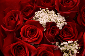 long-term relationship